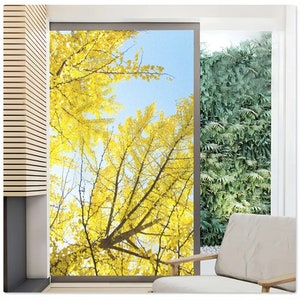 Custom Size Ginkgo Leaf Frosted Privacy Glass Window Decorative Film UV Protection Static Cling No-Glue Window Sticker Decor