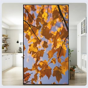 Kundenspezifische Größe Ahornblatt-Muster Sichtschutz-Fensterfolie Kein Kleber-statische haftende dekorative Fenstertönung für Wohndekor