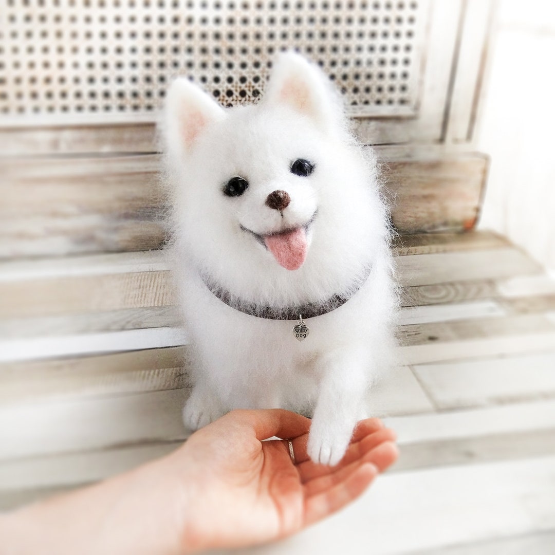 Buy White Puppy Pomeranian Gift for Her Gift for Him Cute Lover