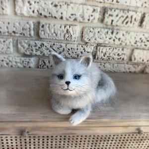 Op de afbeelding: Een witte en grijze vilten kat met blauwe ogen. De kat ligt op een houten oppervlak met een witte bakstenen muur op de achtergrond.