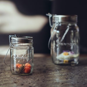 Può includere: Due barattoli di vetro trasparente con coperchi in metallo e manici in filo metallico. Il barattolo più piccolo contiene frutta rossa e arancione e una pigna. Il barattolo più grande è vuoto.