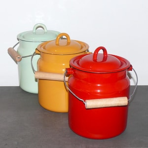 Enamel carrying jug | 3.3 liters | a touch of vintage and nostalgia | milk can, kitchen compost bin, decorative item | Origin: Ukraine
