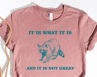 It Is What It Is And It Is Not Great Shirt, Funny Vintage Drawing T-Shirt, Raccoon Meme Shirt, Mood Gifts, Funny Mood Sweatshirt, Funny Meme