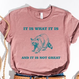 It Is What It Is And It Is Not Great Shirt, Funny Vintage Drawing T-Shirt, Raccoon Meme Shirt, Mood Gifts, Funny Mood Sweatshirt, Funny Meme