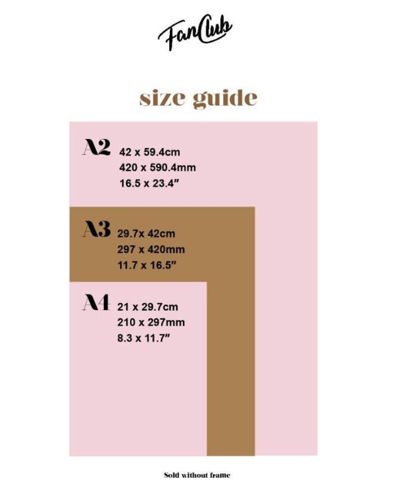The image is a size guide for fan club members, providing dimensions for different fan club members' sizes.