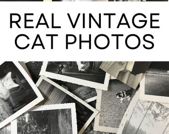 CATS Black & White Vintage Photos - Original Photographs of Pet Cat and Kittens! RARE Cute Animal Authentic Antique Feline Ephemera