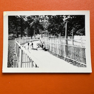 May include: A black and white photo of a path in a park with a fence on either side. There are people walking on the path with a few animals in the distance.