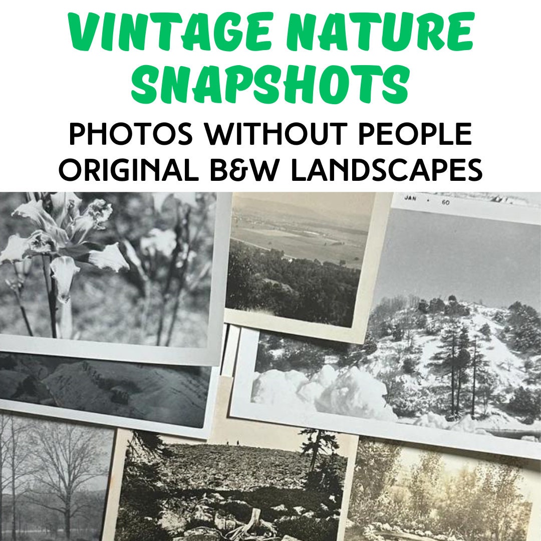 LANDSCAPES & NATURE Vintage Photos Lot ~ original black and white antique snapshots ~ *** no people *** ~ scenery trees plants mountains etc