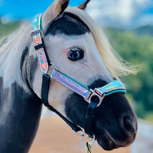 Holographic Leather Horse Halter - Mini to Horse Size