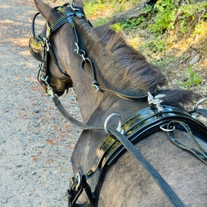 Miniatur Pferd Biothene Leder Show Harness Set - A Größe 30-34"