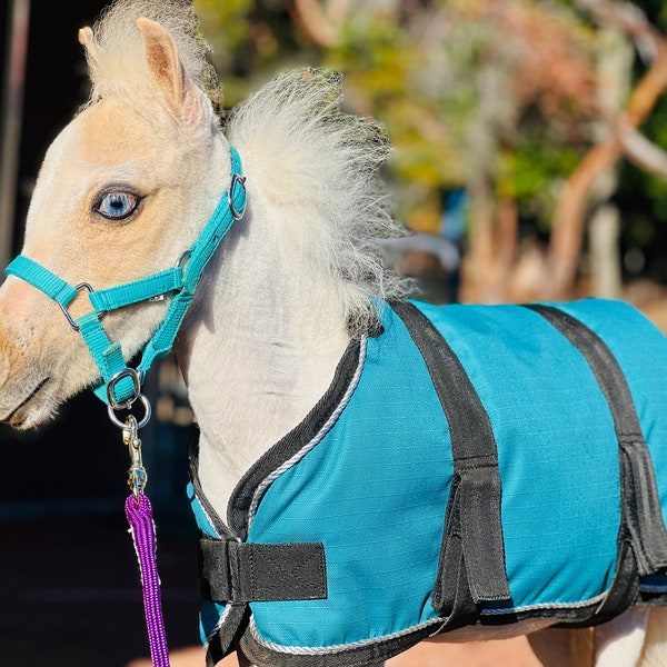 Livestock/Foal/Dog Blanket 20-28"