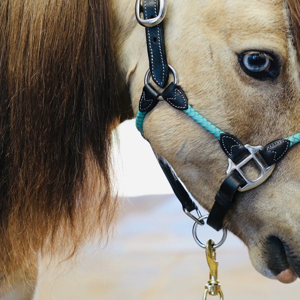 Leather Halter Miniature Horse Etsy