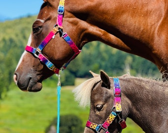 Miniature Horse Pony Horse Size Printed Equestrian Stable Halter Colorful Designs Webbing Halter