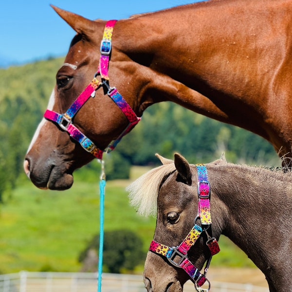 Caballo en miniatura, poni, tamaño de caballo, cabestro estable ecuestre impreso, diseños coloridos, cabestro de correas