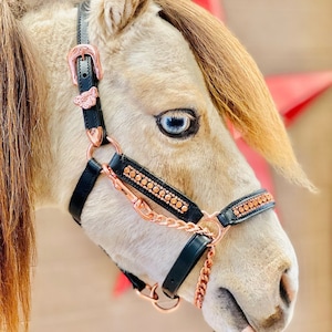 Rhinestone Leather Show Halter & Lead Set - Mini to Horse Size
