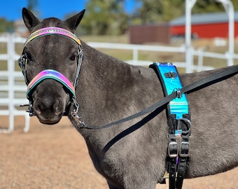 Ensemble cheval-poney miniature pour attelage