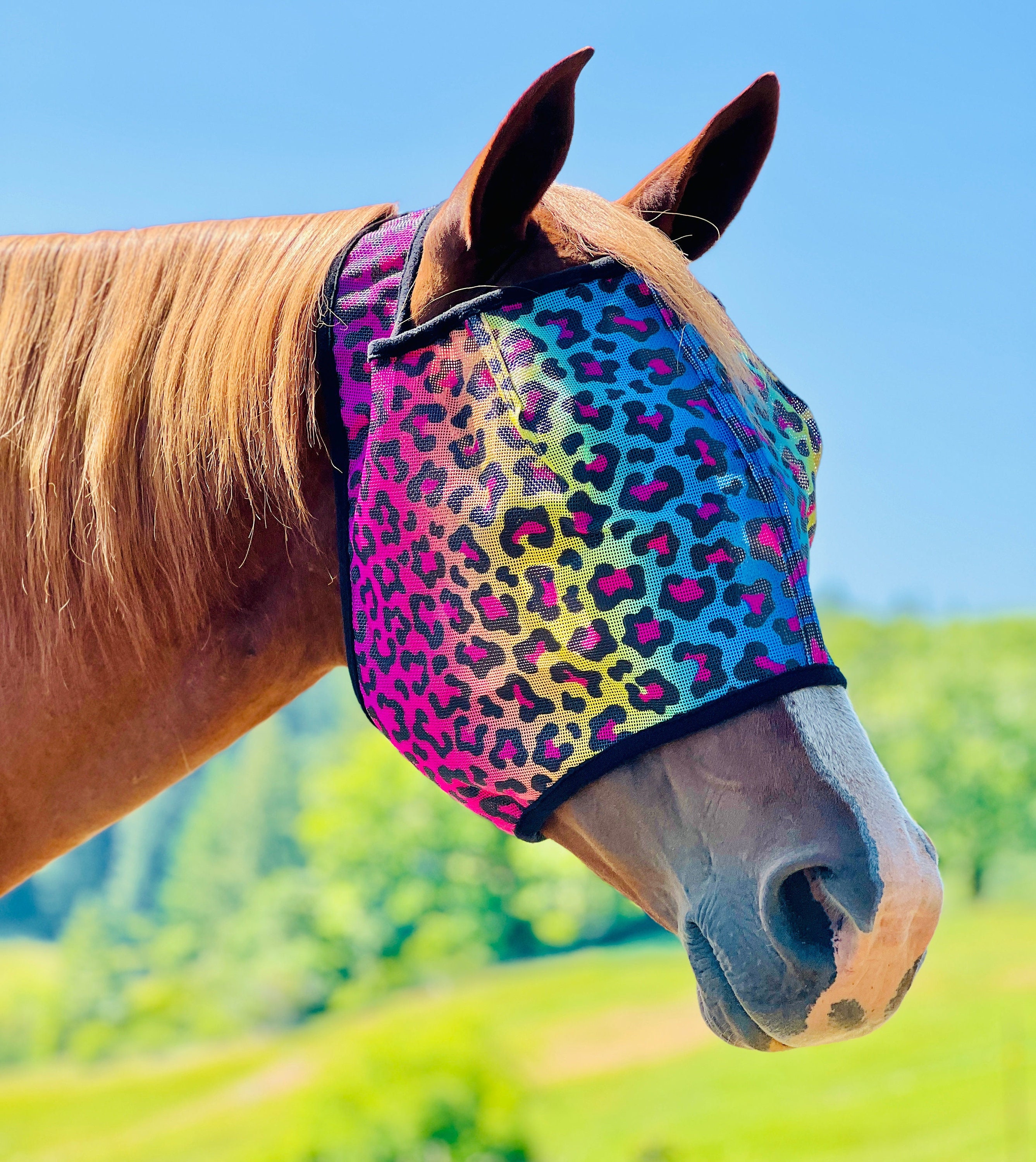 Rainbow Cheetah UV Fly Mask - Mini to Horse Size