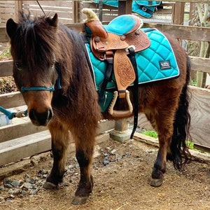 Tough-1 Sierra Mini Horse/Pony Western Saddle Blanket - 19" X 19", FREE Shipping