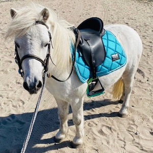 English/Surcingle Saddle Pad - Mini to Horse Size
