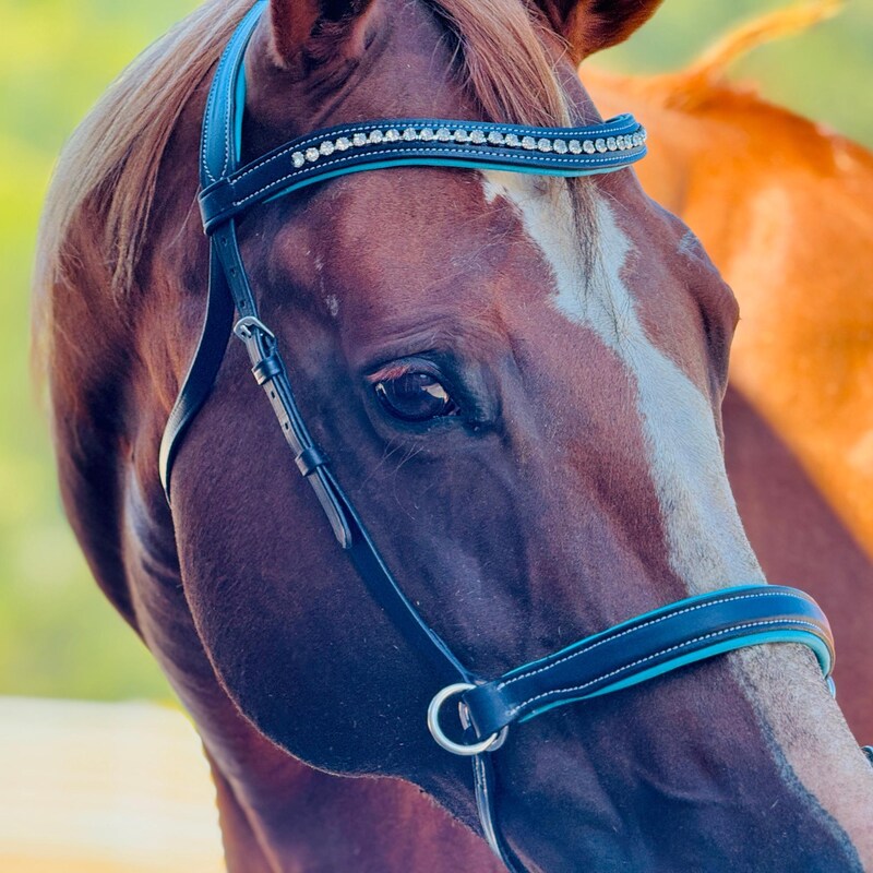 Jump In Evolution Bitless Bridle Black main image 0