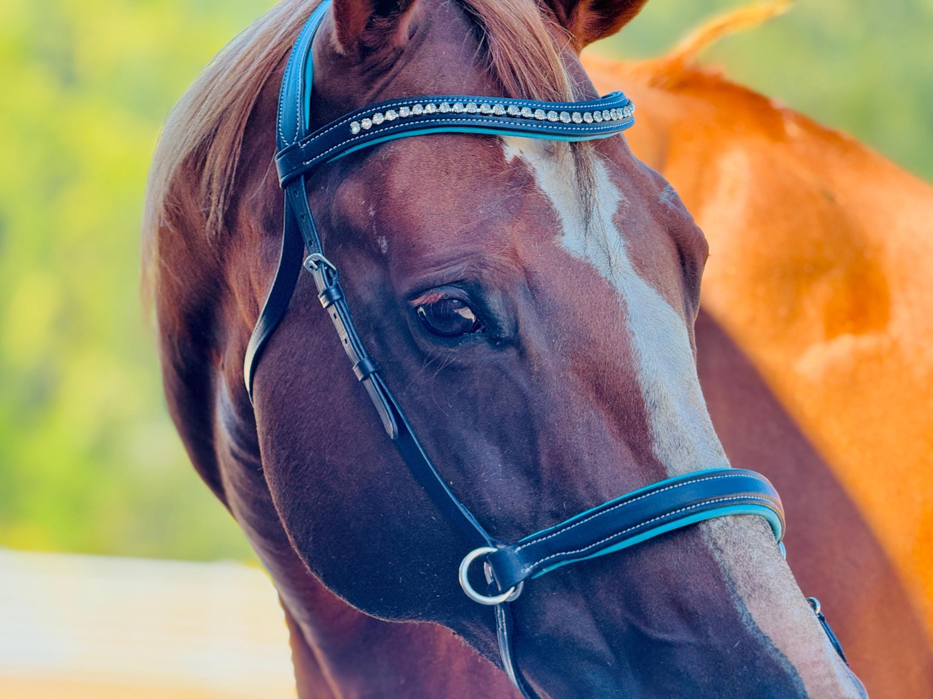 Bosal Sans Mors (hackamore) En Cuir Brut – Style Vintage, Marron, Pour Bride à Une Oreille