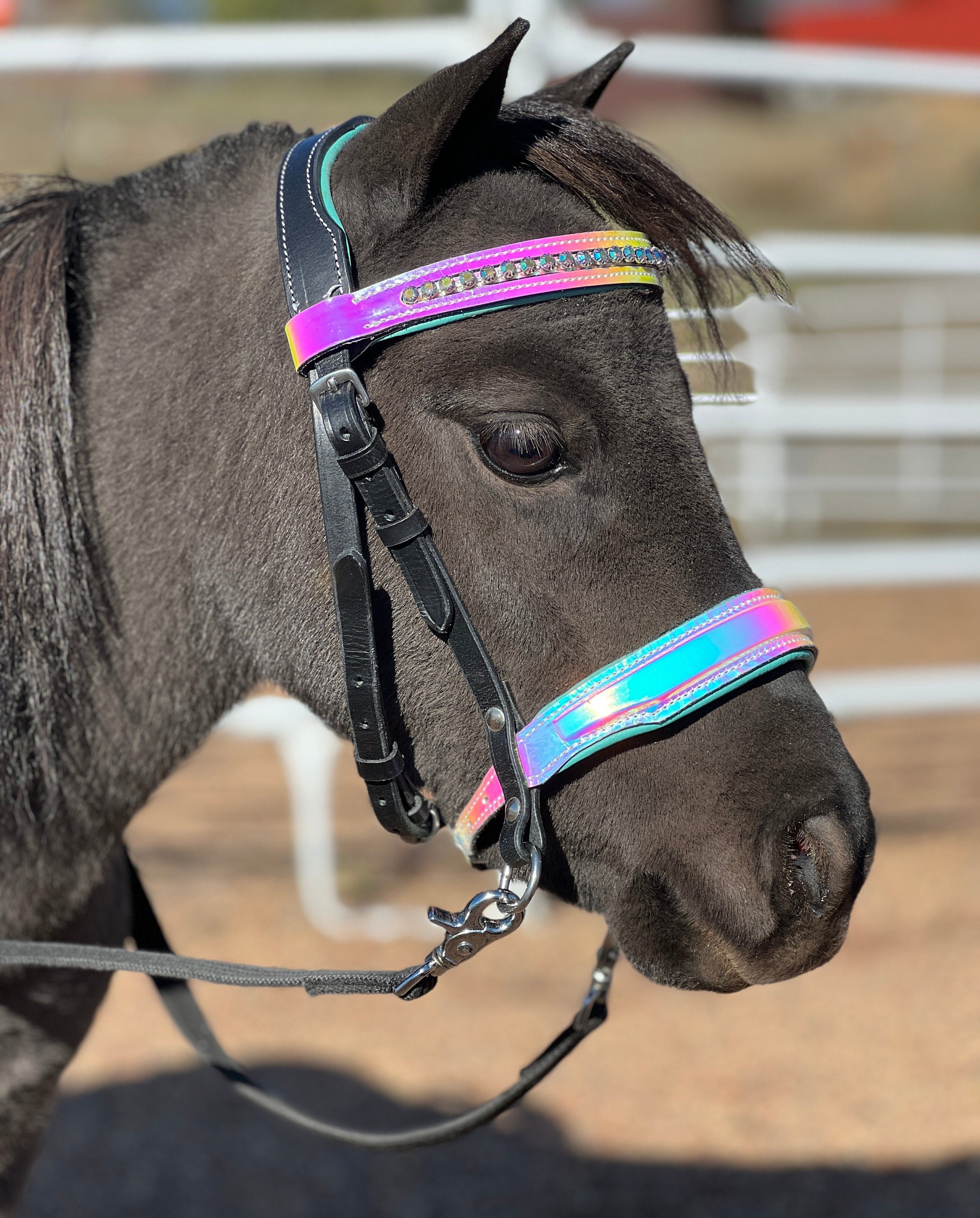 Rocky Pines Miniature Horse Tack Shop