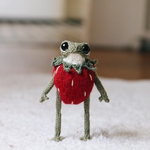 DIGITAL PATTERN frog Strawberry Outfit knitting pattern for frog (5.3inches)