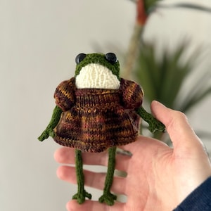 Könnte beinhalten: Ein grüner gestrickter Frosch, der ein braunes und orangefarbenes gestreiftes Kleid trägt. Der Frosch hat schwarze Augen und sitzt auf einer Hand.