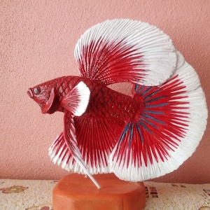 Wood carved betta fish. Halfmoon red betta. Hand carved Betta sculpture. wooden fish. fish carving. Betta fish. Sculpture. Hand made. Fish