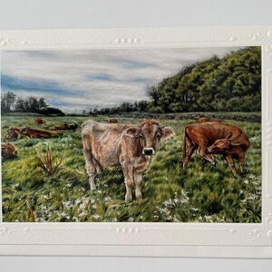 Carte « Shelburne Meadow »