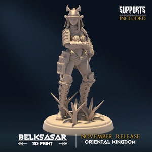 Samurai miniature for Dungeons and Dragons | Moonshine Samurai C | Female Samurai DnD miniature Female Ronin DnD mini Samurai Oni Mask Girl