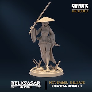 Female Samurai Ronin miniature for Dungeons and Dragons | Moonshine Ronin D | Female ninja miniature DnD Kunoichi miniature Shinobi RPG mini
