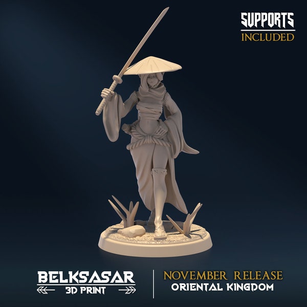 Female Samurai Ronin miniature for Dungeons and Dragons | Moonshine Ronin D | Female ninja miniature DnD Kunoichi miniature Shinobi RPG mini