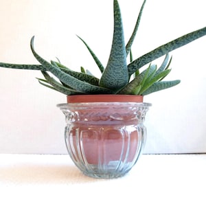 Cache-pot vintage en verre pressé bleu pâle – Motif feuilles – Petit pot décoratif rétro