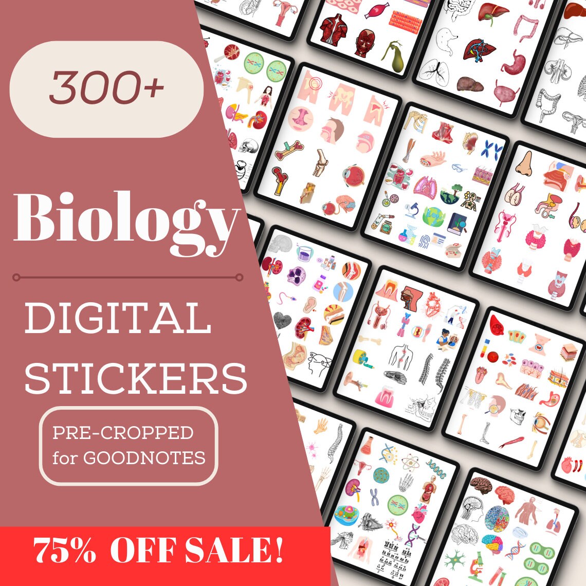 Biology & Anatomy Digital Stickers Pre-cropped Human Body Stickers Hand ...