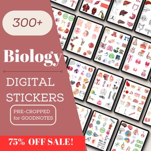 300+ Biologie Anatomie digitale Aufkleber, handgezeichnete wissenschaftliche Illustrationen, GoodNotes PNG, digitaler Download