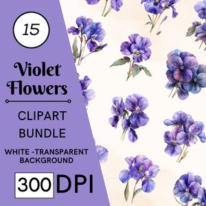 15 violettes Clipart, Clipart fleur de naissance février, JPG, téléchargement numérique, art mural imprimable, agenda numérique, fabrication de cartes, journaux indésirables