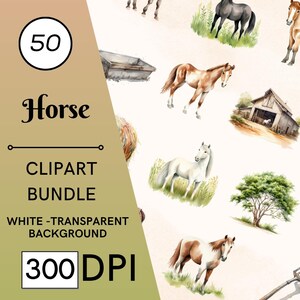 50 Watercolor Horse Clipart Bundle Set, Horses Transparent PNGs, Commercial Use, Digital Download