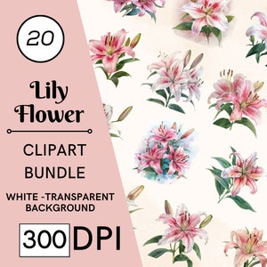 Pacote de 20 clipart de flores de lírio Stargazer, JPG de alta qualidade, arte artesanal, criação de cartões, clip art, artesanato em papel digital, scrapbooking