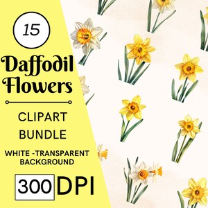 15 Narzisse Blumen Clipart Bundle: Aquarell Frühling Designs, Florale Kunst, kommerzielle Nutzung, digitaler Download