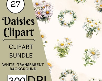 27 Aquarell Daisy Clipart Bundle, Frühling Blumen PNG, Blumenkunst, kommerzielle Nutzung, digitaler Download