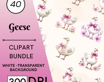 40 Watercolor Geese Clipart,  Vintage Goose Animal PNG Images, Digital Download, Nursery
