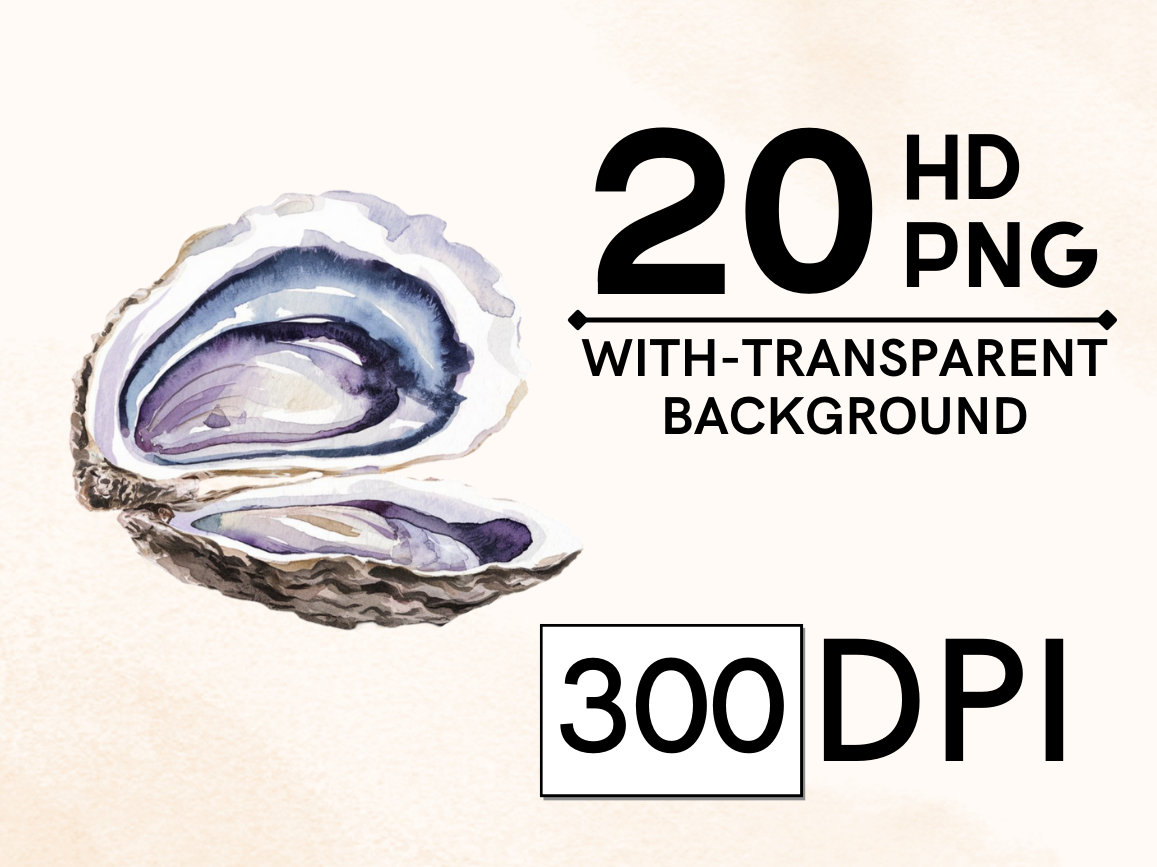 20 Coastal Watercolor Oyster Clipart, Transparent Background PNG ...