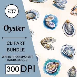 20 Coastal Watercolor Oyster Clipart, Transparent Background PNG Commercial Use Instant Download