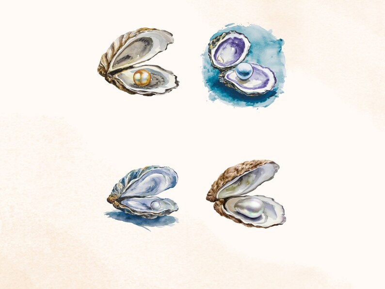 20 Coastal Watercolor Oyster Clipart, Transparent Background PNG ...