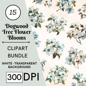 15 Hartriegel-Baum-Blüten-Clipart-Bundle, hochwertige JPG, Handwerkskunst, Kartenherstellung, Clip Art, digitales Papiermodell, Scrapbooking