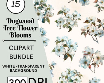 15 Dogwood Flower Clipart Bundle, Floral Art (JPG, PNG)