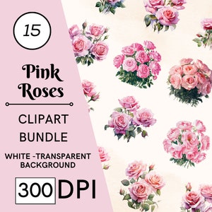 15 Stargazer Pink Roses Bundle, Watercolor Floral PNG, Floral Art, Commercial Use, Digital Download