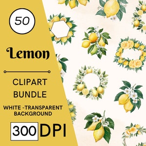 50 Watercolor Lemon Clipart Set, Lemon Wreaths & Flowers, PNG, Commercial Use, Digital Download