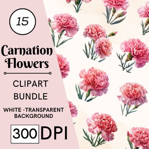 15 rosa Nelken Blumen Clipart Bundle, hochwertiges JPG, Kunsthandwerk, Kartenherstellung, Clip Art, Digitales Papiermodell, Scrapbooking